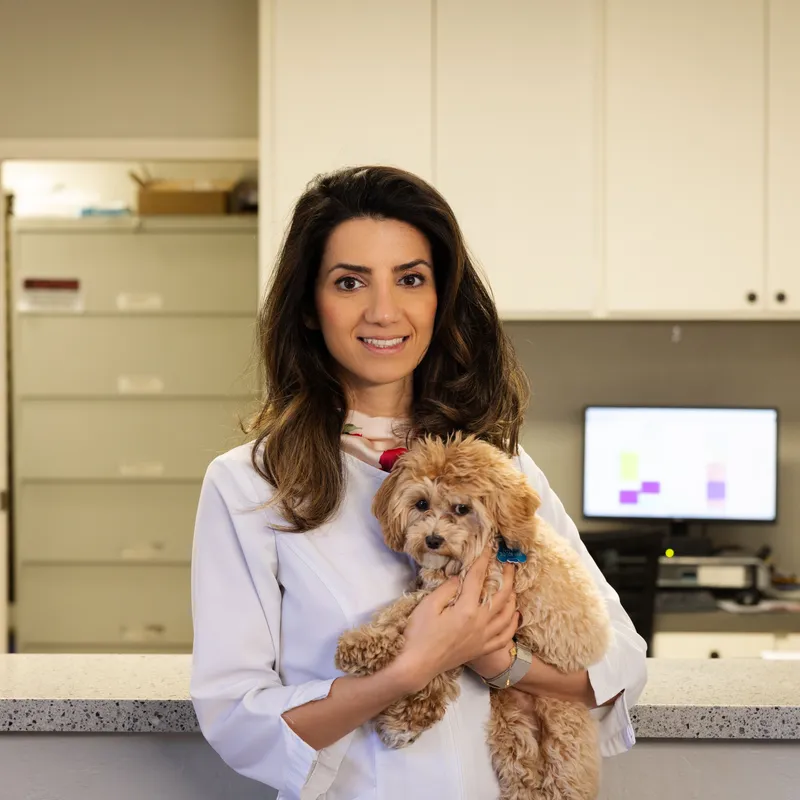 Bay Area Dental & Implant Center office view 4